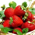 Manfaat Buah Strawberry Untuk Kesehatan