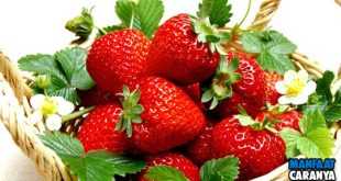 Manfaat Buah Strawberry Untuk Kesehatan