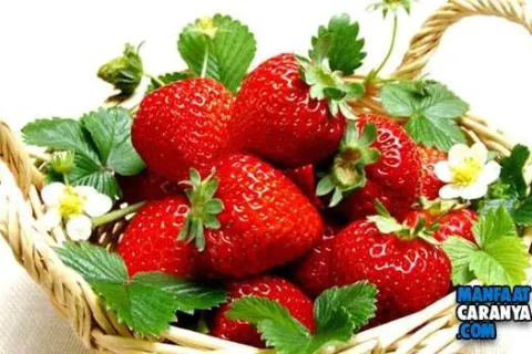 Manfaat Buah Strawberry Untuk Kesehatan