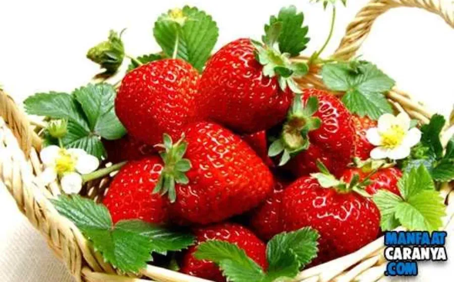 Manfaat Buah Strawberry Untuk Kesehatan