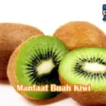 Manfaat Dan Khasiat Buah Kiwi Bagi Kesehatan Tubuh