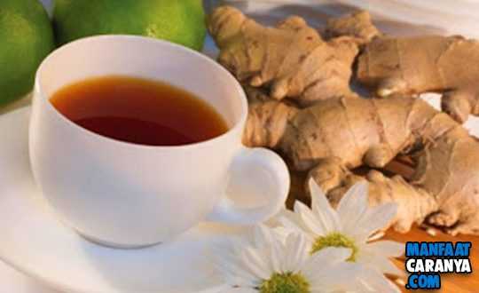 Manfaat Jahe Untuk Kesehatan