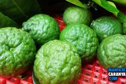 Manfaat Jeruk Limo Untuk Kesehatan