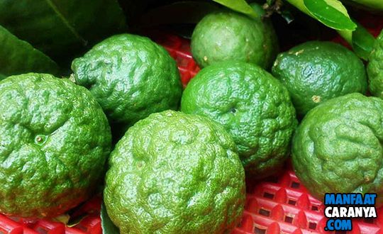 Manfaat Jeruk Limo Untuk Kesehatan
