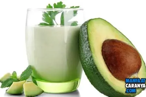 Manfaat Jus Alpukat Untuk Kesehatan