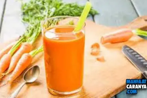 Manfaat Jus Wortel Untuk Kecantikan Kulit