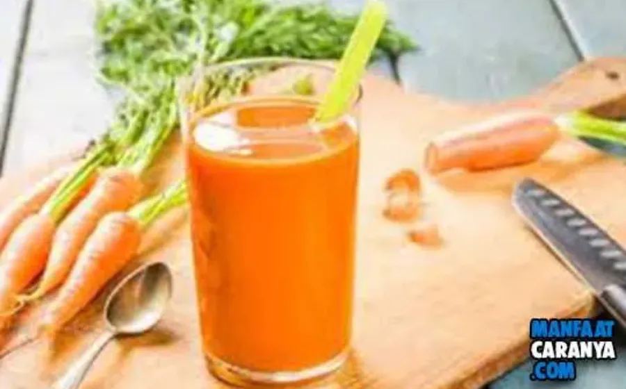 Manfaat Jus Wortel Untuk Kecantikan Kulit