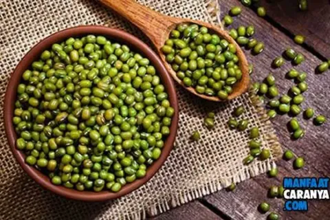 Manfaat Kacang Hijau Untuk Ibu Hamil Yang Paling Ampuh