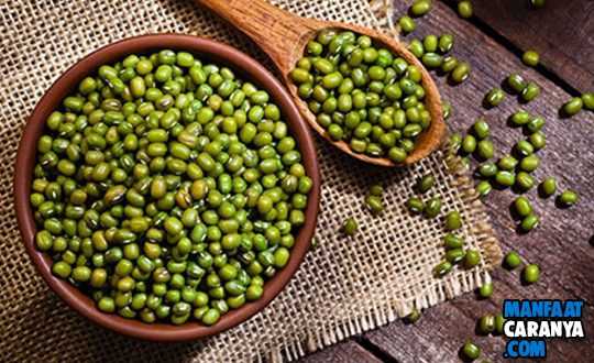 Manfaat Kacang Hijau Untuk Ibu Hamil Yang Paling Ampuh