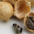 Manfaat Kapulaga Untuk Kesehatan