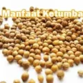 Manfaat Ketumbar Untuk Kesehatan Tubuh Yang Luar Biasa