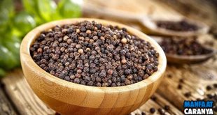 Manfaat Lada Hitam Untuk Kesehatan