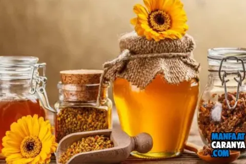 Manfaat Madu Untuk Kecantikan