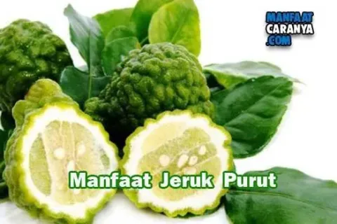 Manfat Dan Khasiat Jeruk Purut