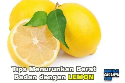 Tips Menurunkan Berat Badan Dengan Lemon