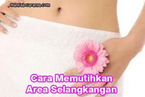 Cara Memutihkan Area Selangkangan Secara Alami
