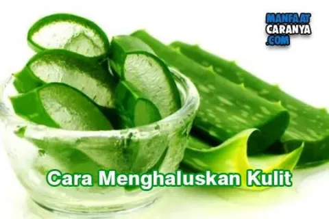 Cara Menghaluskan Kulit Dengan Tanaman Lidah Buaya