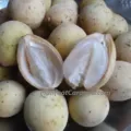 Manfaat Buah Duku Menurunkan Berat Badan, Cara Alamai Atasi Lemak Berlebih