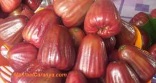 Manfaat Jambu Air untuk Diabetes, Cara Atasi Gula Darah Tinggi Buah buahan