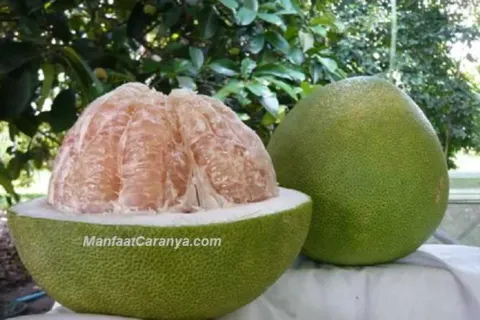 Manfaat Jeruk Bali untuk Masker Wajah, Khasiat Buah Kaya Vitamin C yang Dilupakan