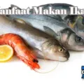 Manfaat Makan Ikan Bagi Kesehatan