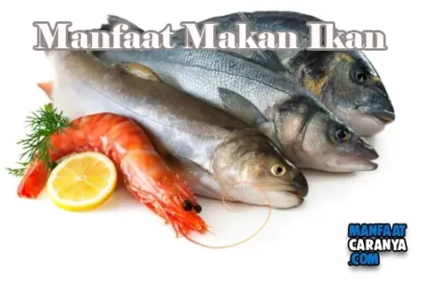 Manfaat Makan Ikan Bagi Kesehatan