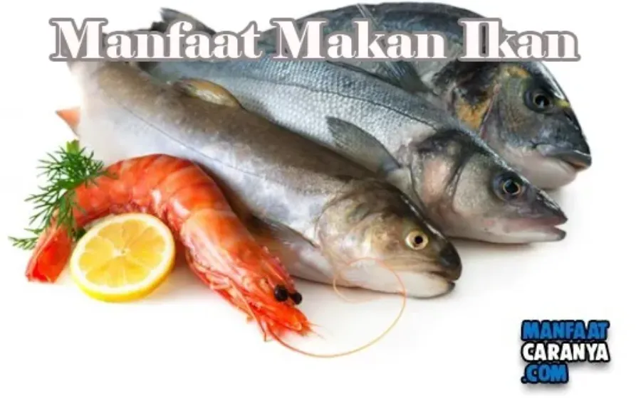 Manfaat Makan Ikan Bagi Kesehatan