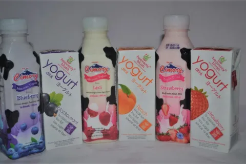 Cara Membuat Yoghurt Plain Dan Bibitnya