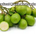 Khasiat Buah Kedondong