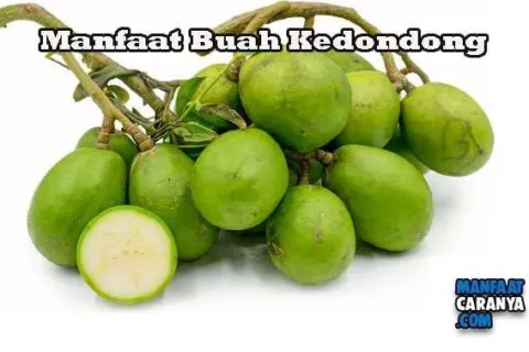 Khasiat Buah Kedondong