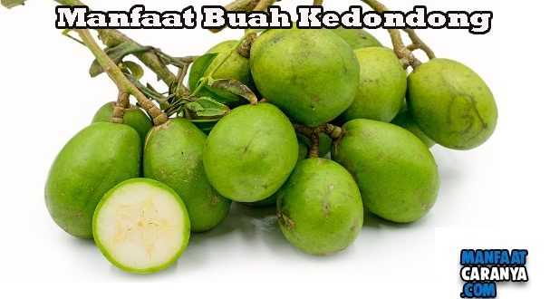 Khasiat Buah Kedondong