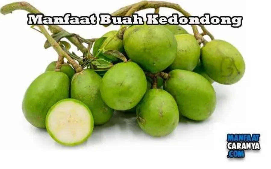 Khasiat Buah Kedondong