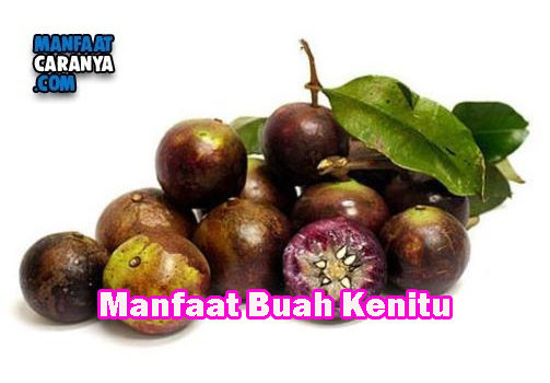 Khasiat Buah Kenitu Bagi Kesehatan