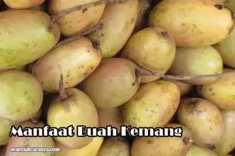 Manfaat Buah Kemang Untuk Kesehatan