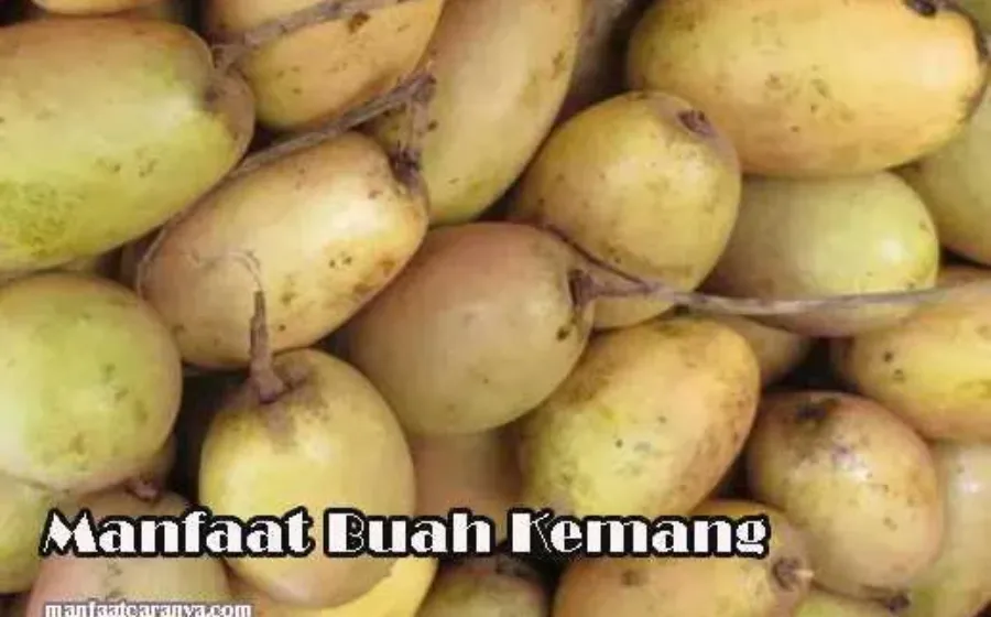 Manfaat Buah Kemang Untuk Kesehatan