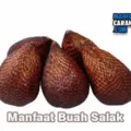 Manfaat Buah Salak Bagi Tubuh