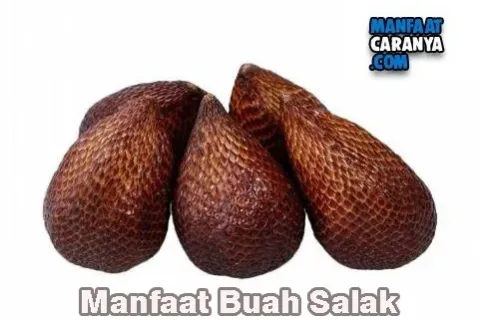 Manfaat Buah Salak Bagi Tubuh