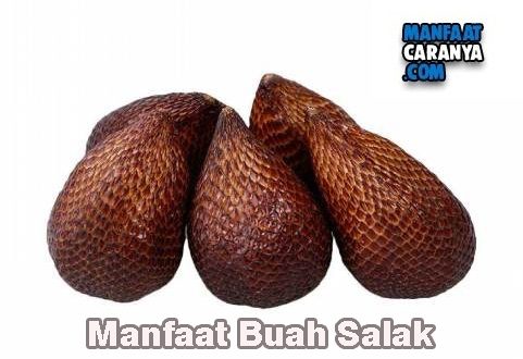 Manfaat Buah Salak Bagi Tubuh