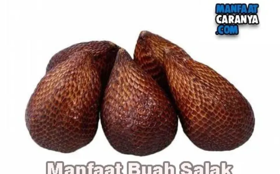 Manfaat Buah Salak Bagi Tubuh