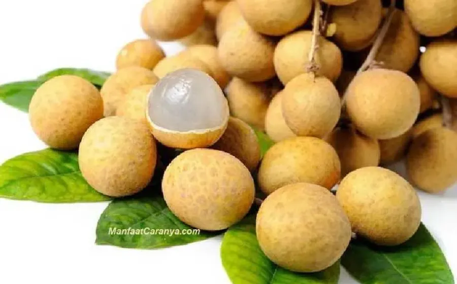 Manfaat Kelengkeng Atasi Luka, Cara Alami Obati Kulit Tubuh