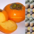 Manfaat Kesemek untuk Hipertensi Cara Alami Atasi Darah Tinggi dengan Buah buahan