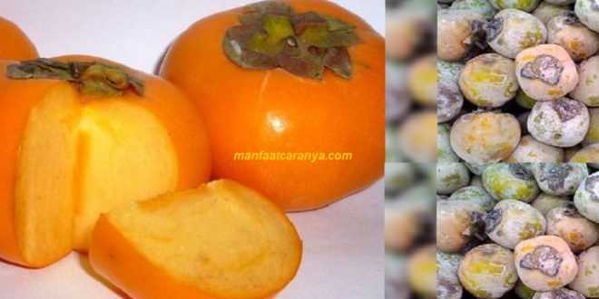 Manfaat Kesemek untuk Hipertensi Cara Alami Atasi Darah Tinggi dengan Buah buahan