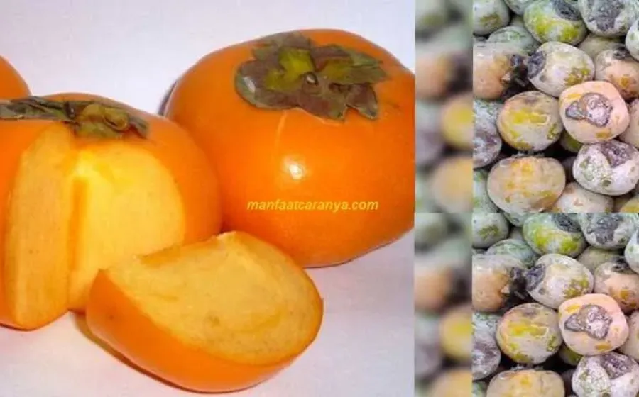 Manfaat Kesemek untuk Hipertensi Cara Alami Atasi Darah Tinggi dengan Buah buahan