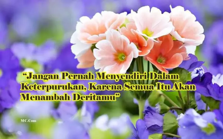 Kata Bijak Hari Selasa Penuh Makna