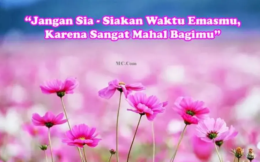 Kata Kata Bijak Hari Kamis