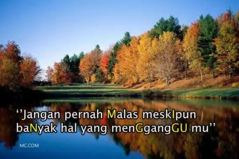 Kata Kata Bijak Hari Minggu Penuh Arti