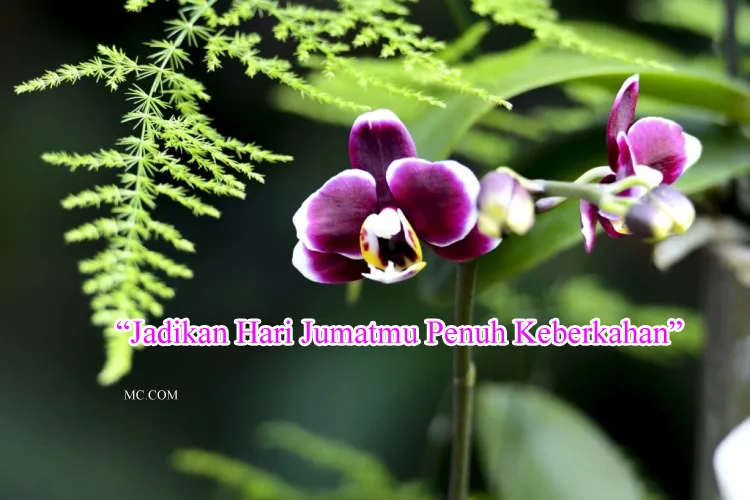 Kumpulan Caption Kata Tentang Hari Jumat