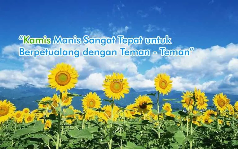 Kumpulan Caption Kata Tentang Hari Kamis