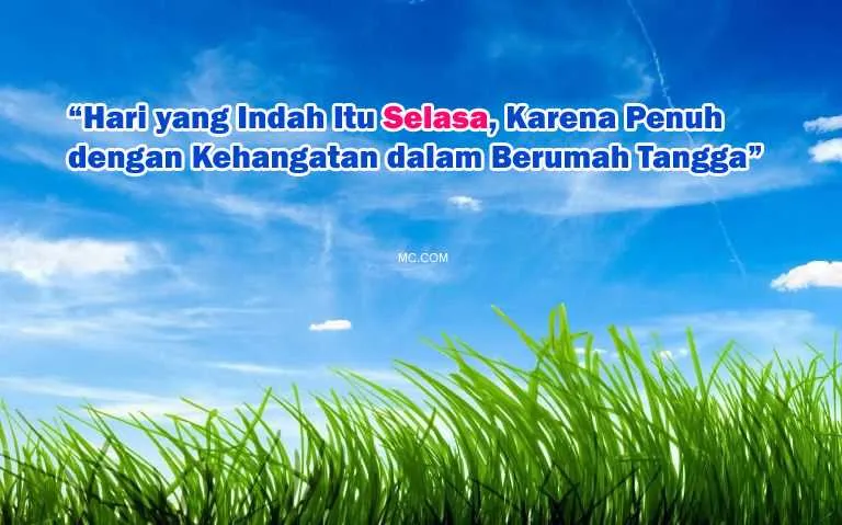 Kumpulan Caption Kata Tentang Hari Selasa