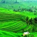 Jadwal Imsakiyah Puasa Ramadhan Kabupaten Sleman Tahun Ini